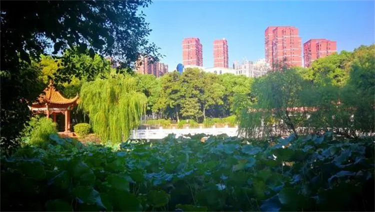 聚才人力集团与江西财经大学继续教育学院进行战略合作签约仪式